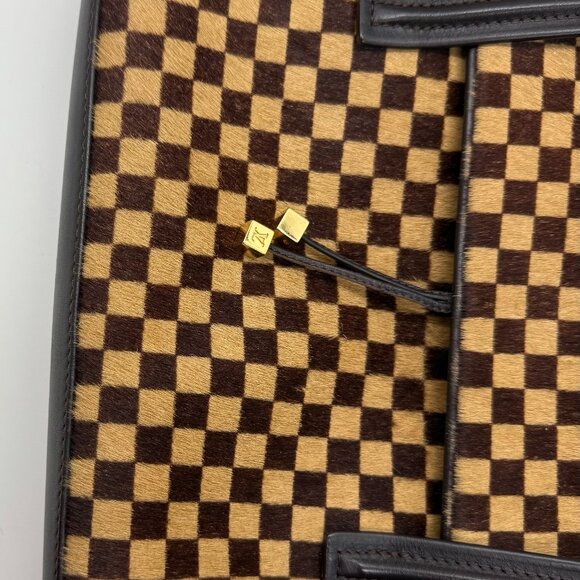 Vintage Limited Edition Louis Vuitton Damier Sauvage Lionne Pony Hair Handbag - Picture 8 of 12
